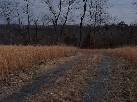 4th image of 292 Roachs Ln