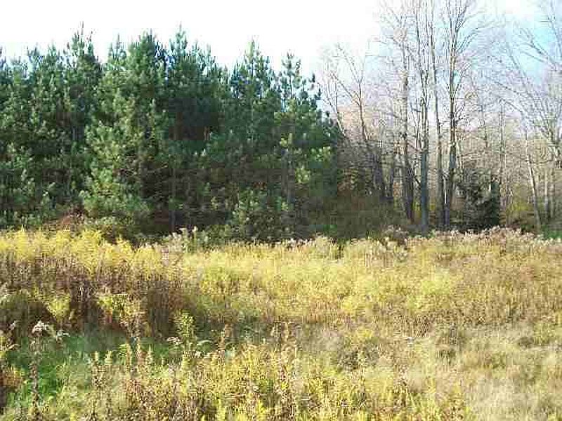 4th image of 0 SAWYER HOLLOW Road