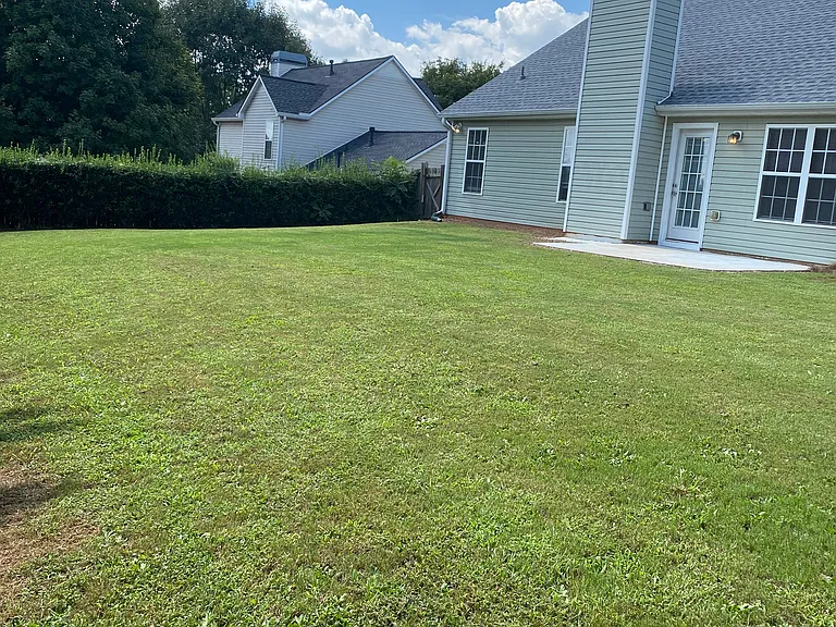 Fenced Backyard