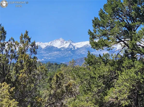 T98 L Path, Cotopaxi, CO 81223