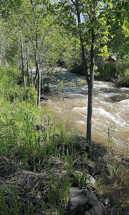 Surface Creek side of lot