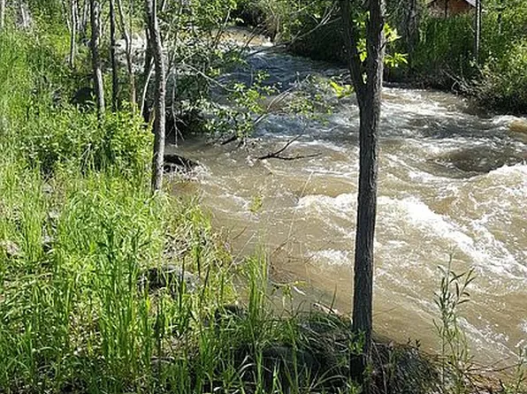 525 SE 2nd St, Cedaredge, CO 81413