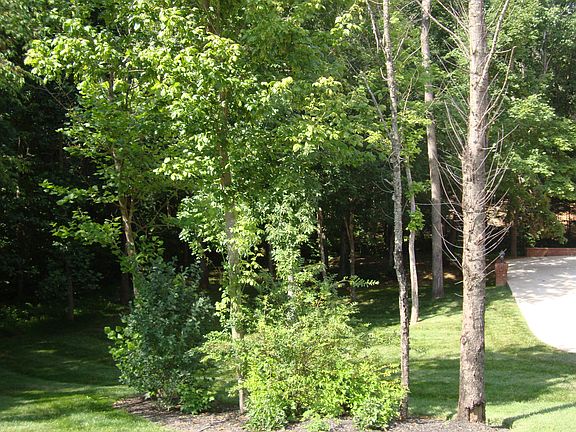 3rd image of 4835 Saint Andrew Ct