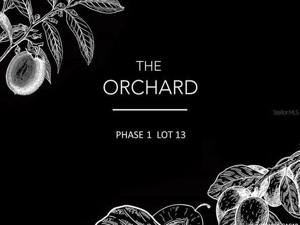 12504 SW 58th Pl, Archer, FL 32618