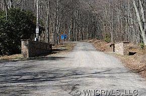 3rd image of C 3 Spruce Patch #C3