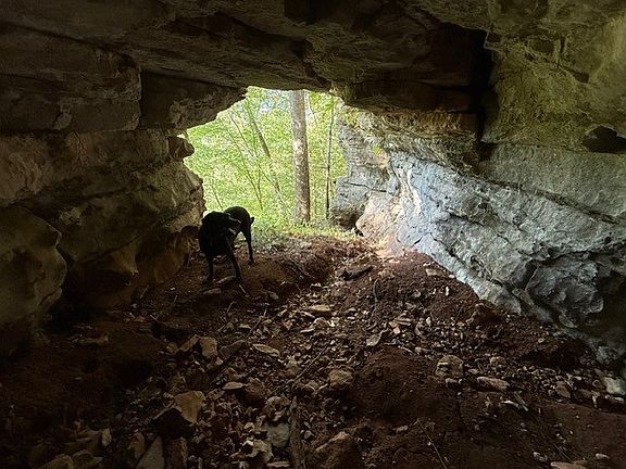 93rd image of this home