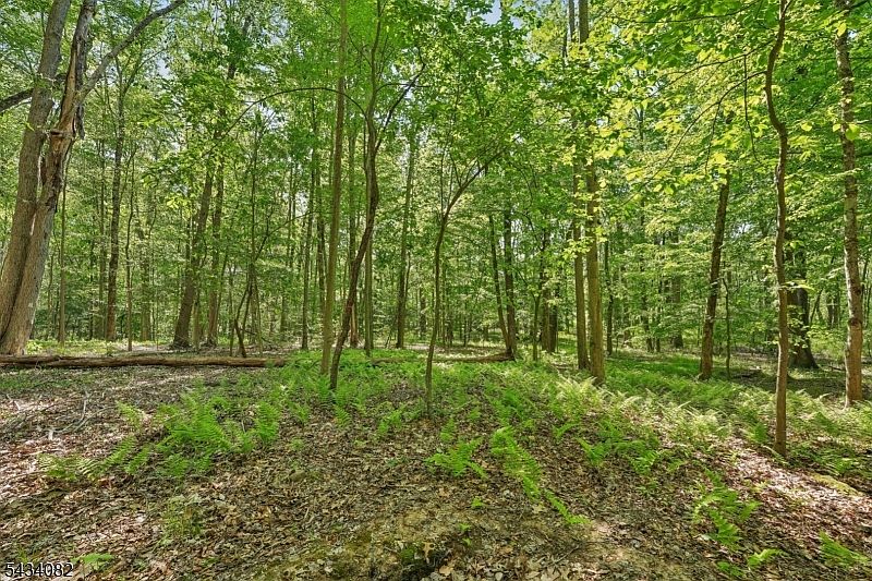 1st image of 0 Homestead Rd