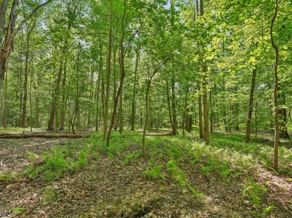 0 Homestead Rd, Long Hill Twp., NJ 07933