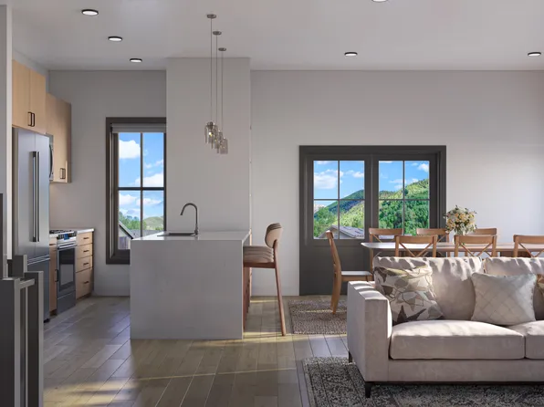 105 S Tomboy St #C, Telluride, CO 81435