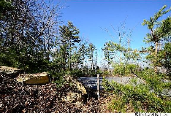 3rd image of 65 Timber Moss Dr