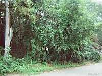 2nd image of 10 Mastic Blvd W