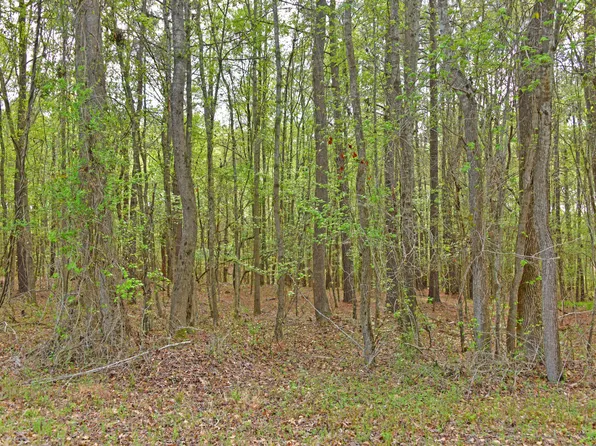 0 Ridgelake Cir Lot 35, Saint Matthews, SC 29135