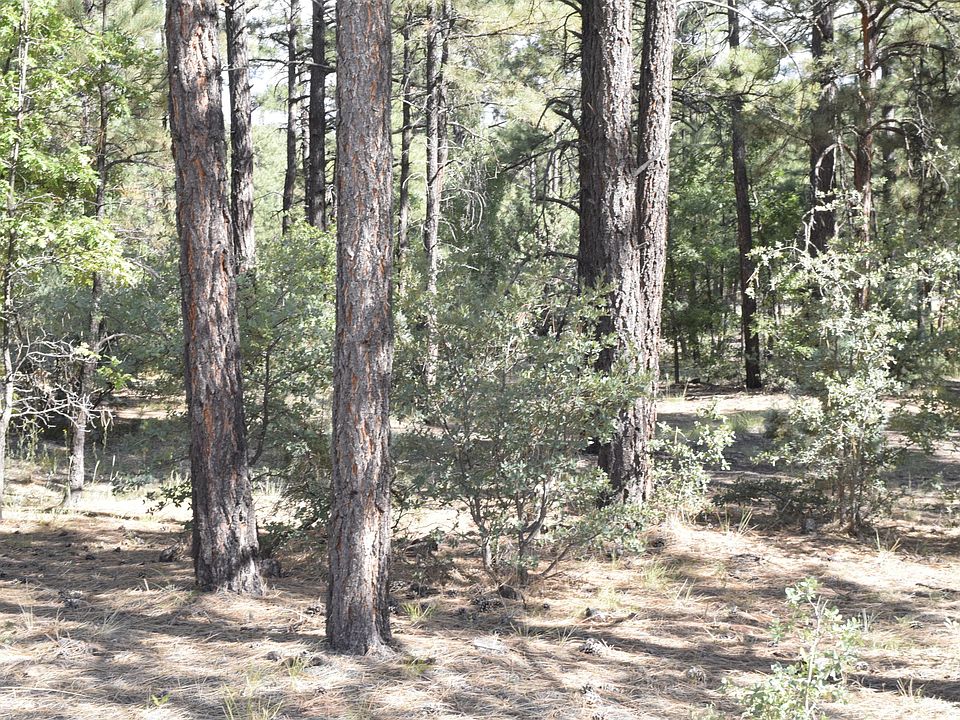 1st image of 1460 E Pine Oaks Dr