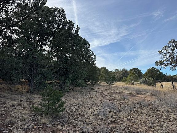 3rd image of 82 Caldelaria Rd