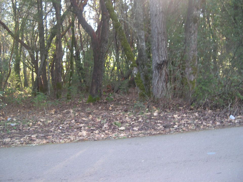 2nd image of West Schumacher