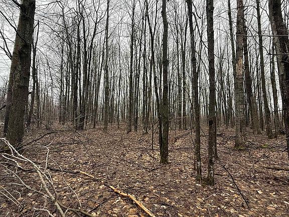 4th image of Lots 449 450 Maplewood Ct