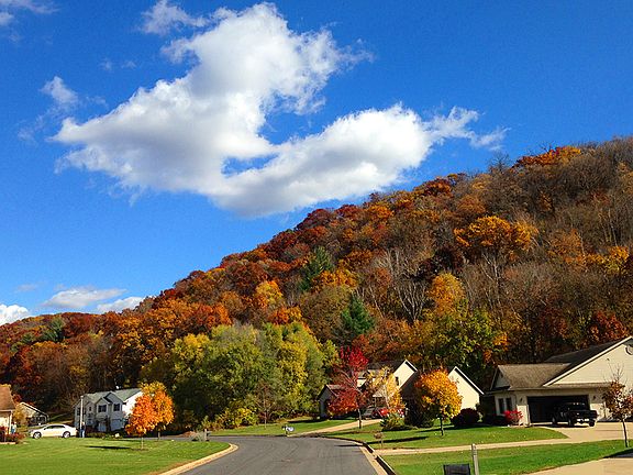 Fall view of neighborhood