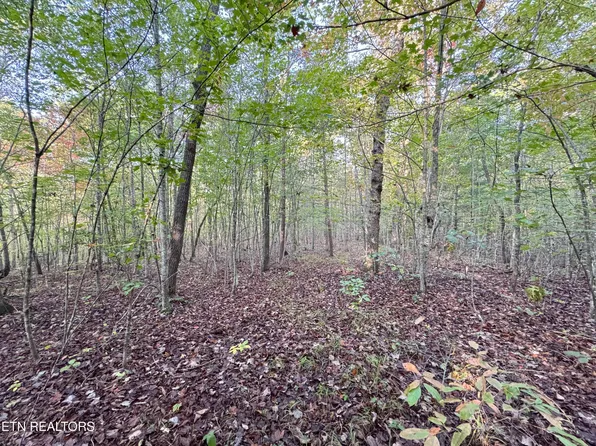 LOT 7 Crest View Dr, Sunbright, TN 37872