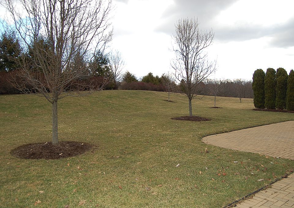 1st image of 901 Bay View Ct