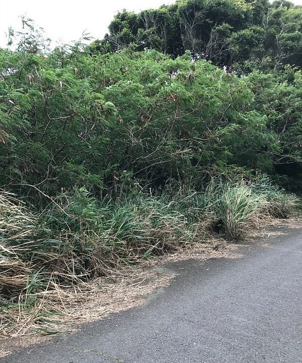 2nd image of Pua St Lot 6