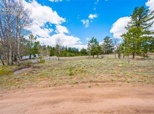 121 Bridle Ln, Florissant, CO 80816