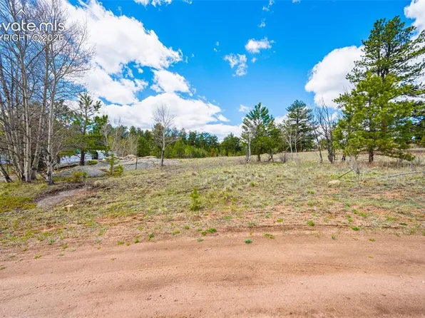 121 Bridle Ln, Florissant, CO 80816