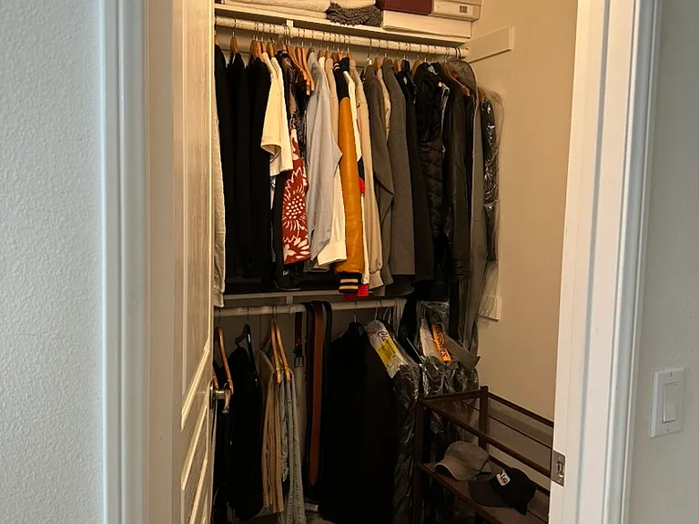 Downstairs bedroom walk-in closet