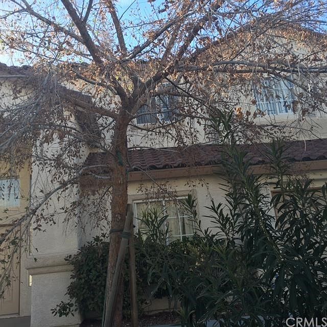 2nd image of 341 Kenya Rd