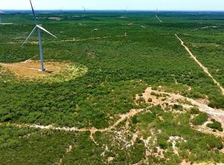 TRACT 3 117ac San Pablo Ave, Bruni, TX 78344