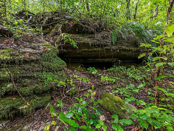 78th image of this home