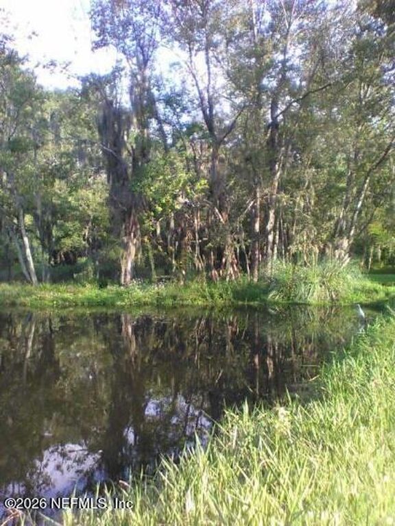 3027 WALTER Road, Jacksonville, FL - View 4