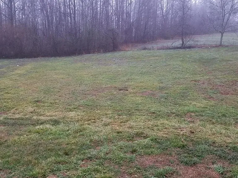 Rear yard