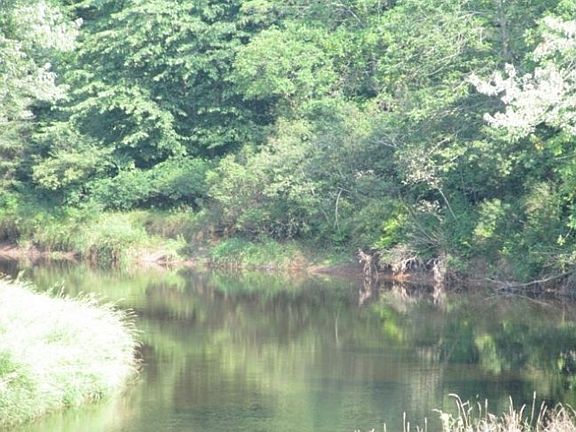 4th image of 7008 River Trail Dr