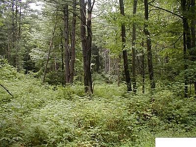 3rd image of 0 Meadow Lane