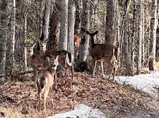 0 Fred Gay Rd, Indian Lake, NY 12842