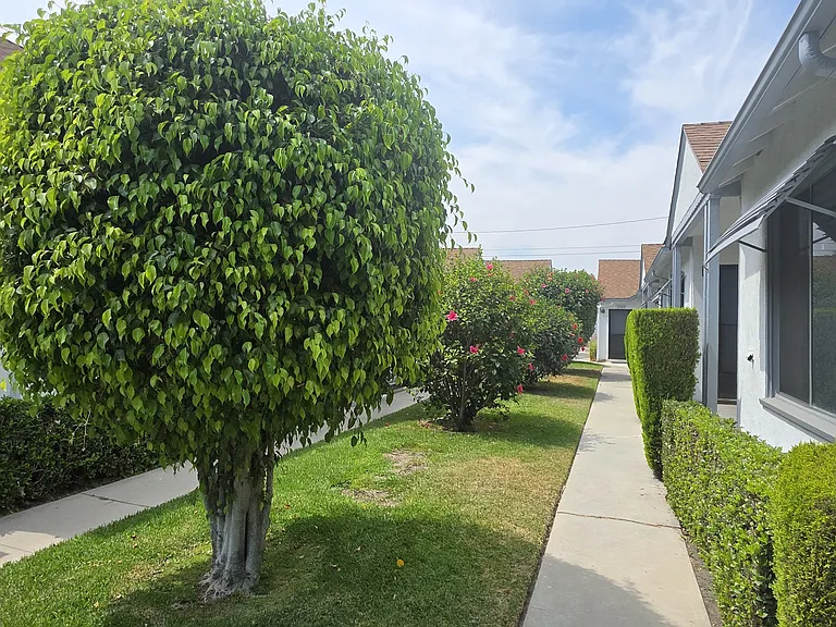 2711 W Clark Ave #A — Photo 8