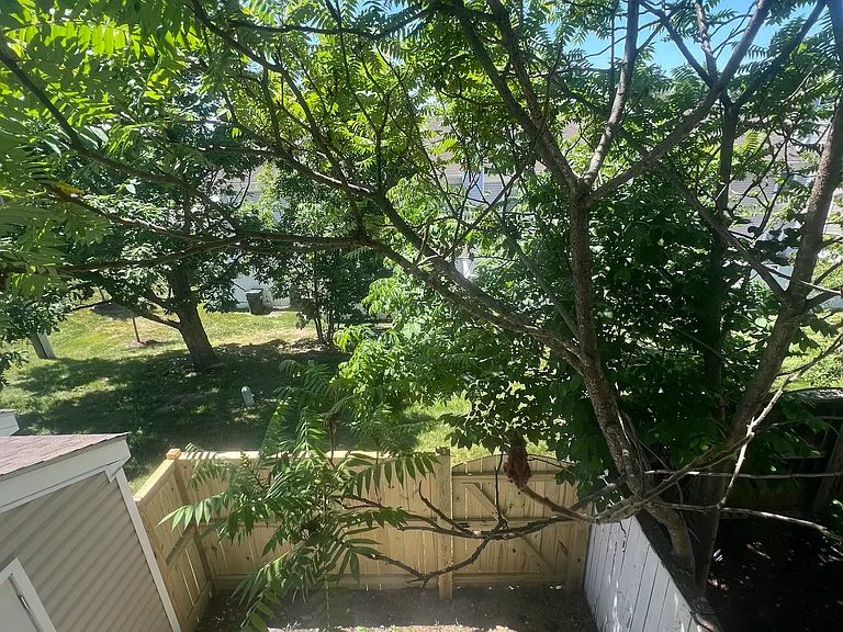 21 Essex Sq — Photo 11