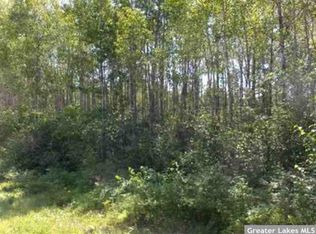 N2NESE Old Backboard Road Lakeport Twp, Laporte, MN 56461