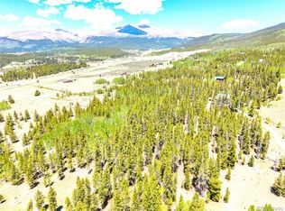 134 Prospect Dr LOT 5, Alma, CO 80420