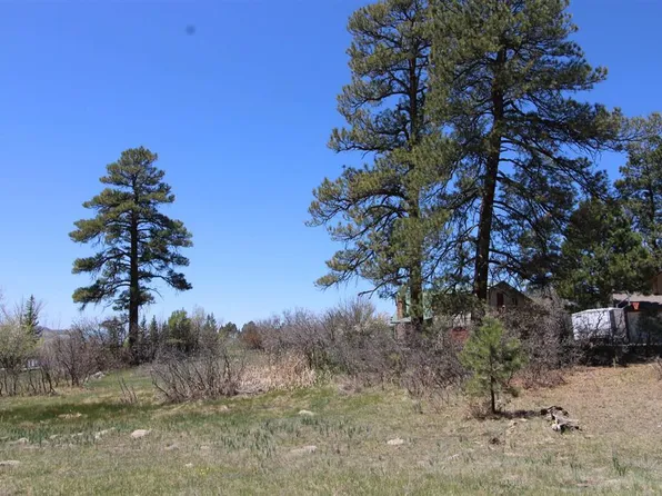 685 Caddy Circle, Pagosa Springs, CO 81147