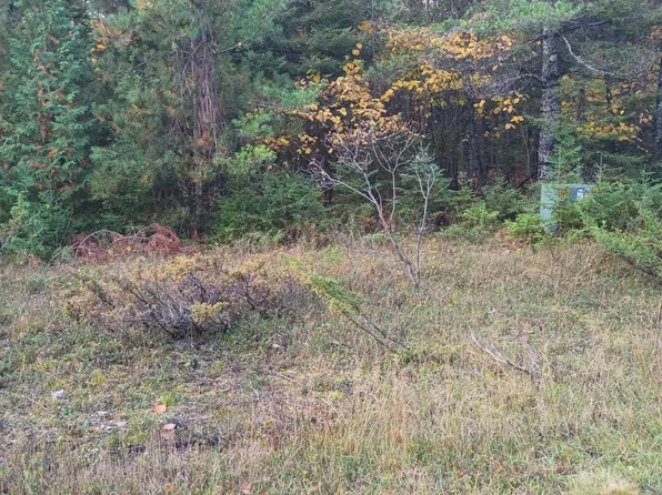 LOT 311 Kauffman Rd, Presque Isle, MI 49777