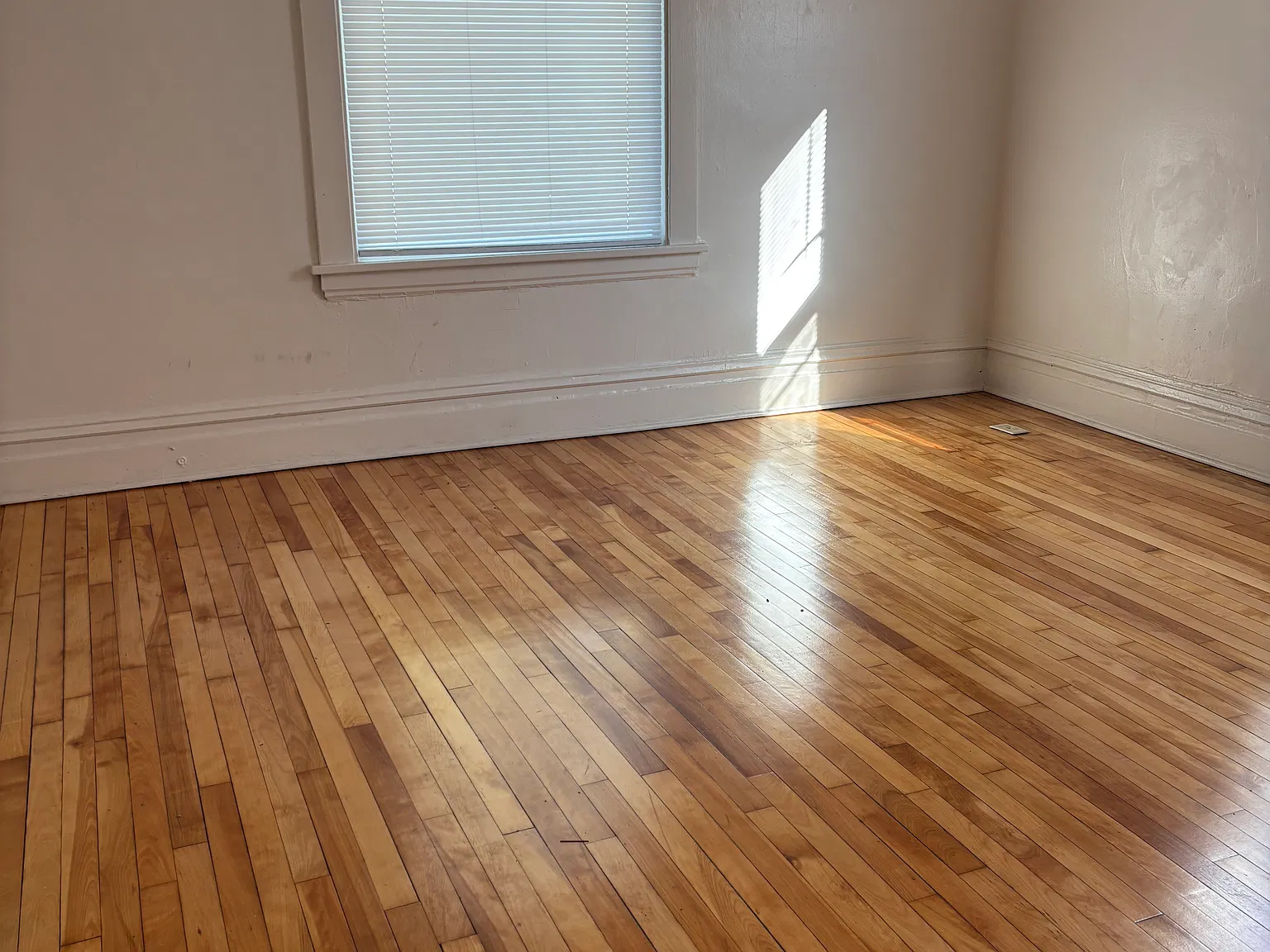 2 bed, 750 sqft, $1,345 — Photo 2