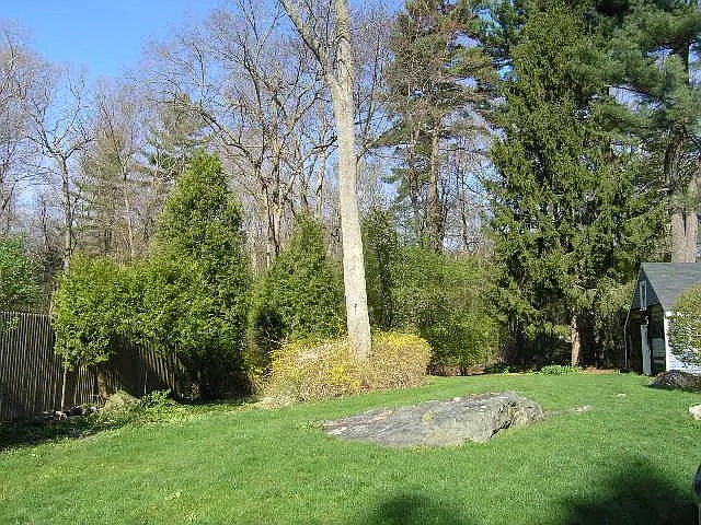 316 Conant Rd #2 — Photo 15
