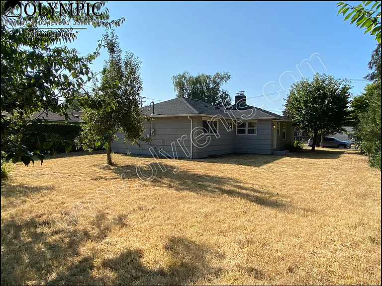 Back Yard_08132020