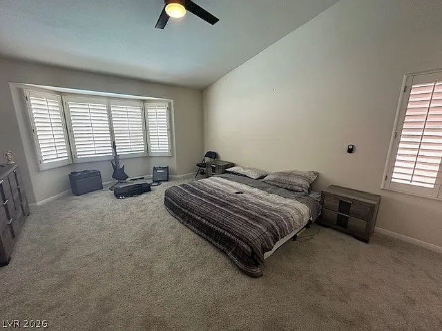 9886 Masked Duck Ave — Photo 11