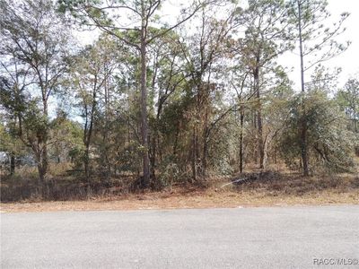 3995 W Fireside Ln, Citrus Springs, FL, 34433