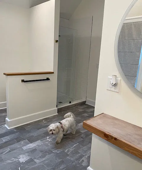 Master bath walk in shower