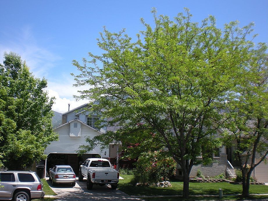 Front of house in the Spring