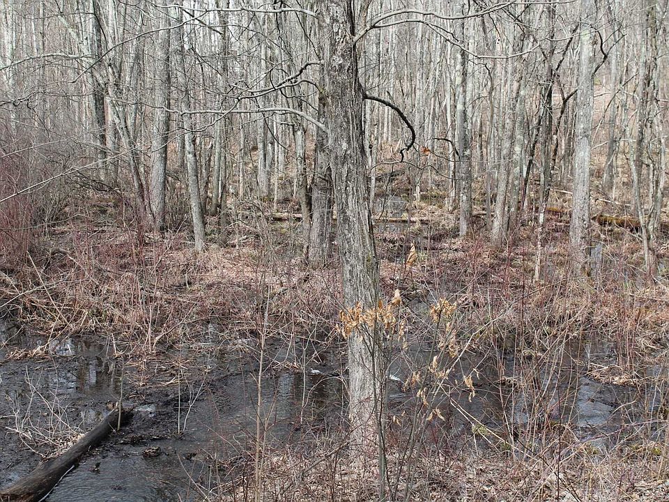 2nd image of Clinton Ave