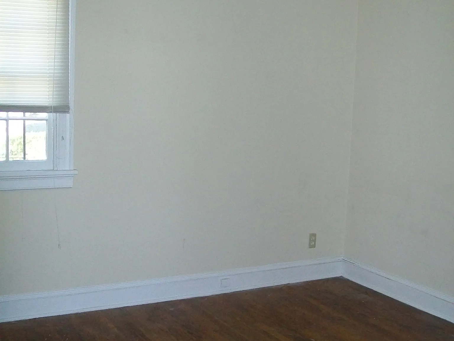 Walmsley Blvd 4224 - 1 — Photo 4